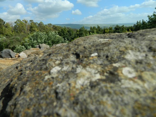 Lichen-covered rock and the green beyond