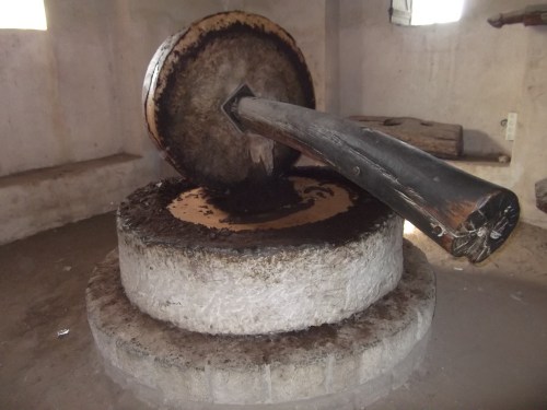 Olive press machine