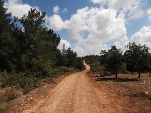 Perfect day for a run