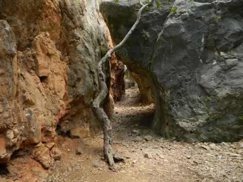 Through the crack...