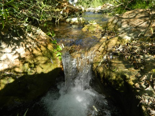A gentle little waterfall