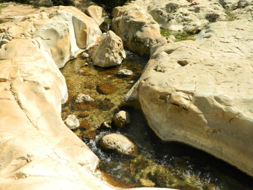 The spring water flowing through the rock