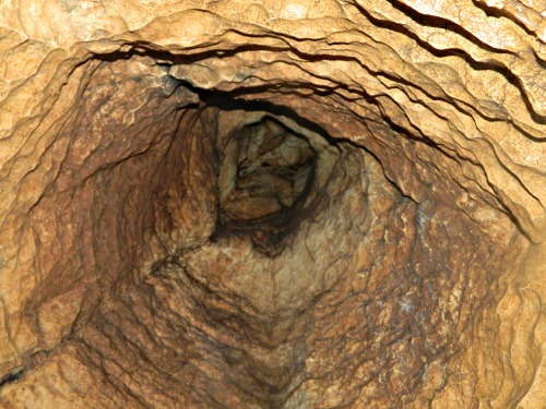 Weird alien-like vertical tunnel