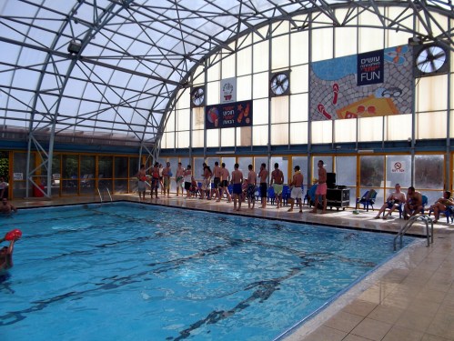 Swimming contest at the pool