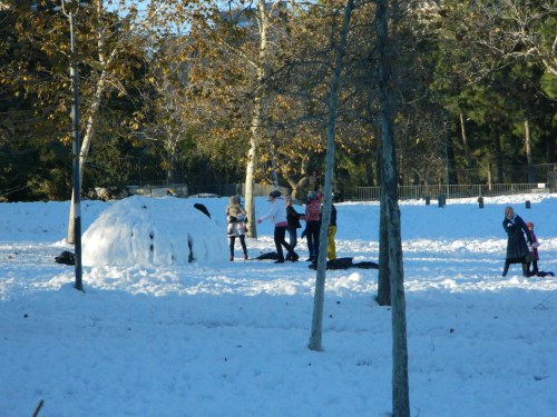 Playing in Independence Park