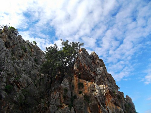 Cliff wall at Nachal Me'arot