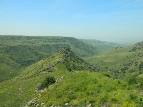 The ridge of ancient Gamla