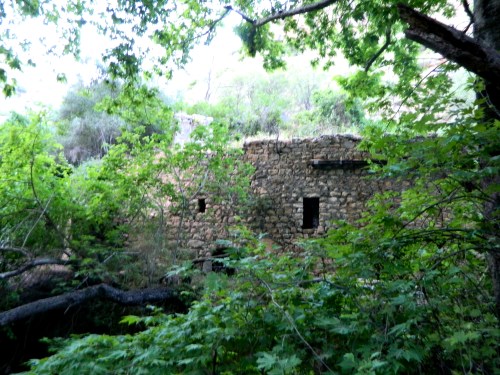 Ruins across the stream