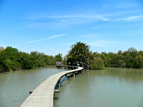The floating bridge over the Great Lake