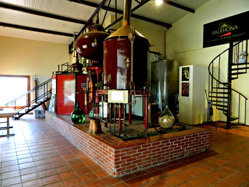 Tishbi Winery visitor centre