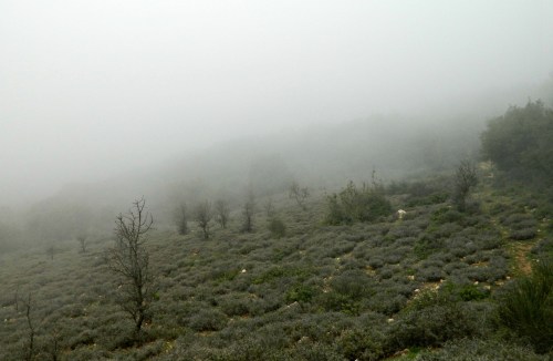 Cloudy mountain slope