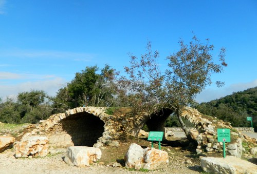Hamama Ruins