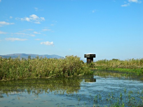 Hula Valley observation tower