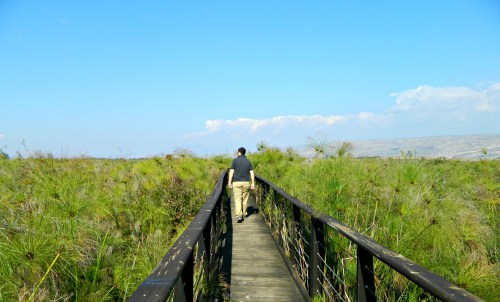 Walking through Dr Seuss land
