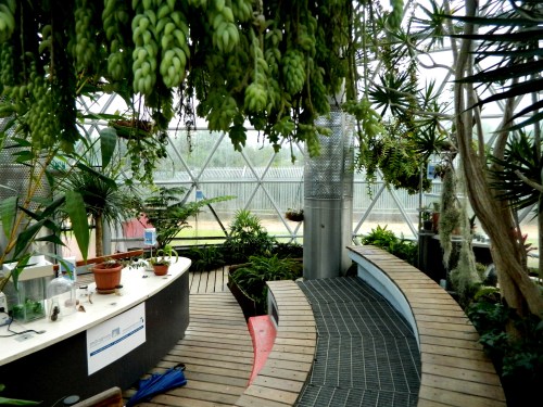 Experimenting with echo amplification