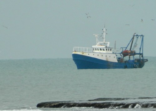 Fishing boat off the coast