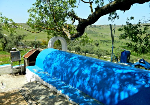 Kever of R' Tarfon with the Tree of Mercy stretching out overhead