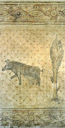 Wild boar mosaic