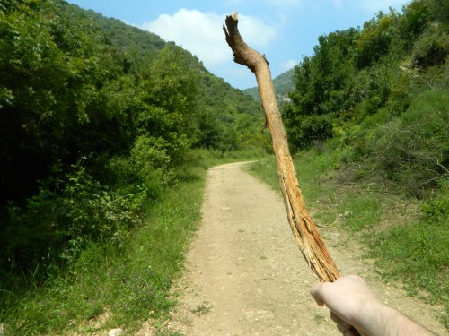 My hefty stick for defense against wild boars