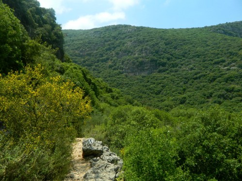 The black trail up the slope