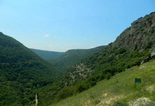 The field before the cave