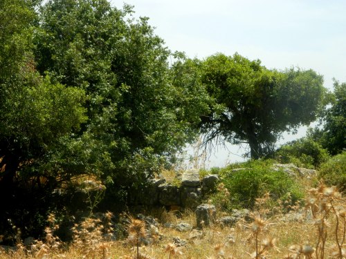 Meagre wall ruins of Tel Be'er Sheva