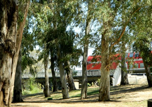 Passenger train crossing the bridge