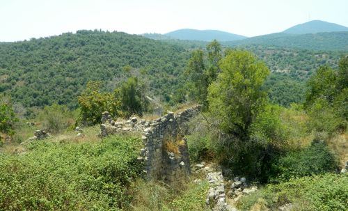 Overgrown ruins of Bar'am