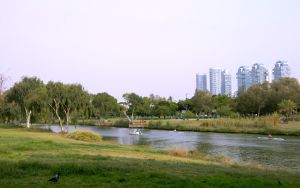 Yarkon Park