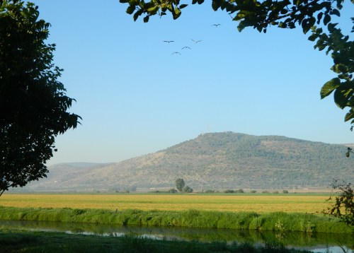 Hula Valley