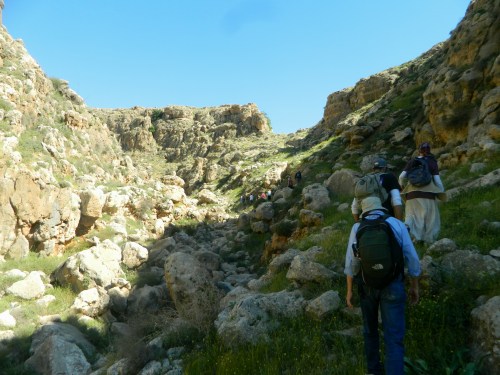 Climbing the cliff edge at Wadi Auja