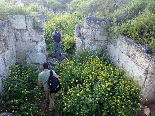 Snaking our way through the ruins