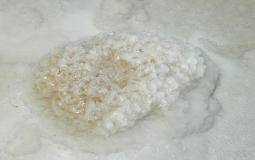 Fascinating salt crystal growth underwater