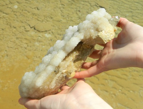 Salt-encrusted rock