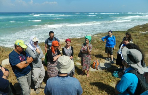 Lecture over the surf