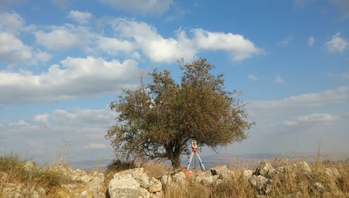 RTK surveyor under the bitter almond tree