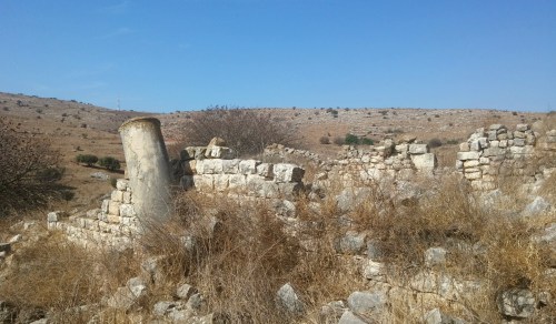 Ruins amongst the dead vegetation