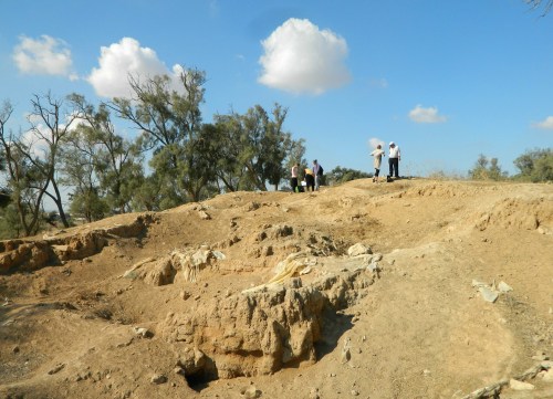 Mud-brick wall at Tel Haror