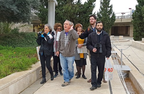 Hark! (photo Faith Baginsky)