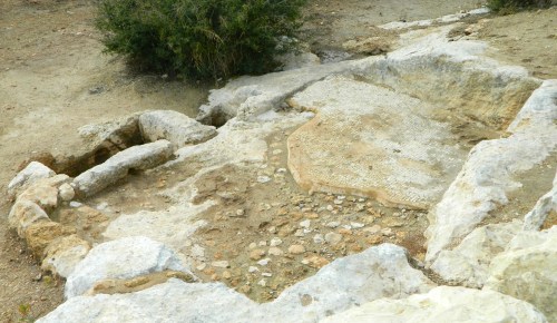 Mosaic floor of Umm al-Umdan's winepress