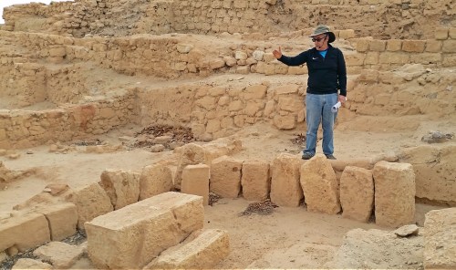 Prof Aren Maeir speaking from within the ruins