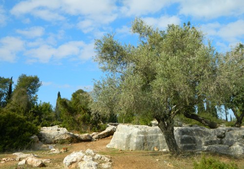 Quarry for huge stone covering-blocks
