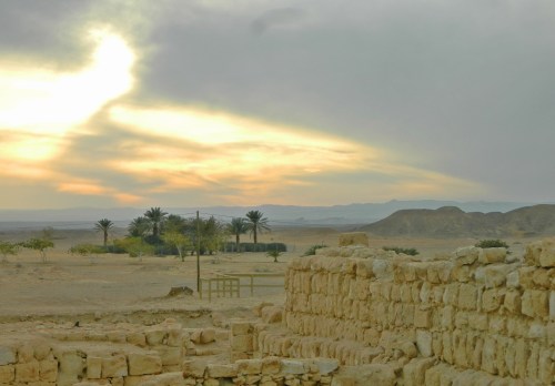 Tamar the desert fortress