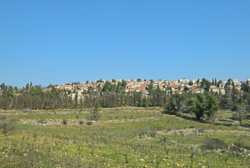 Ramot Forest with Ramot in the background