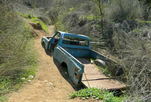 Interesting trail marker