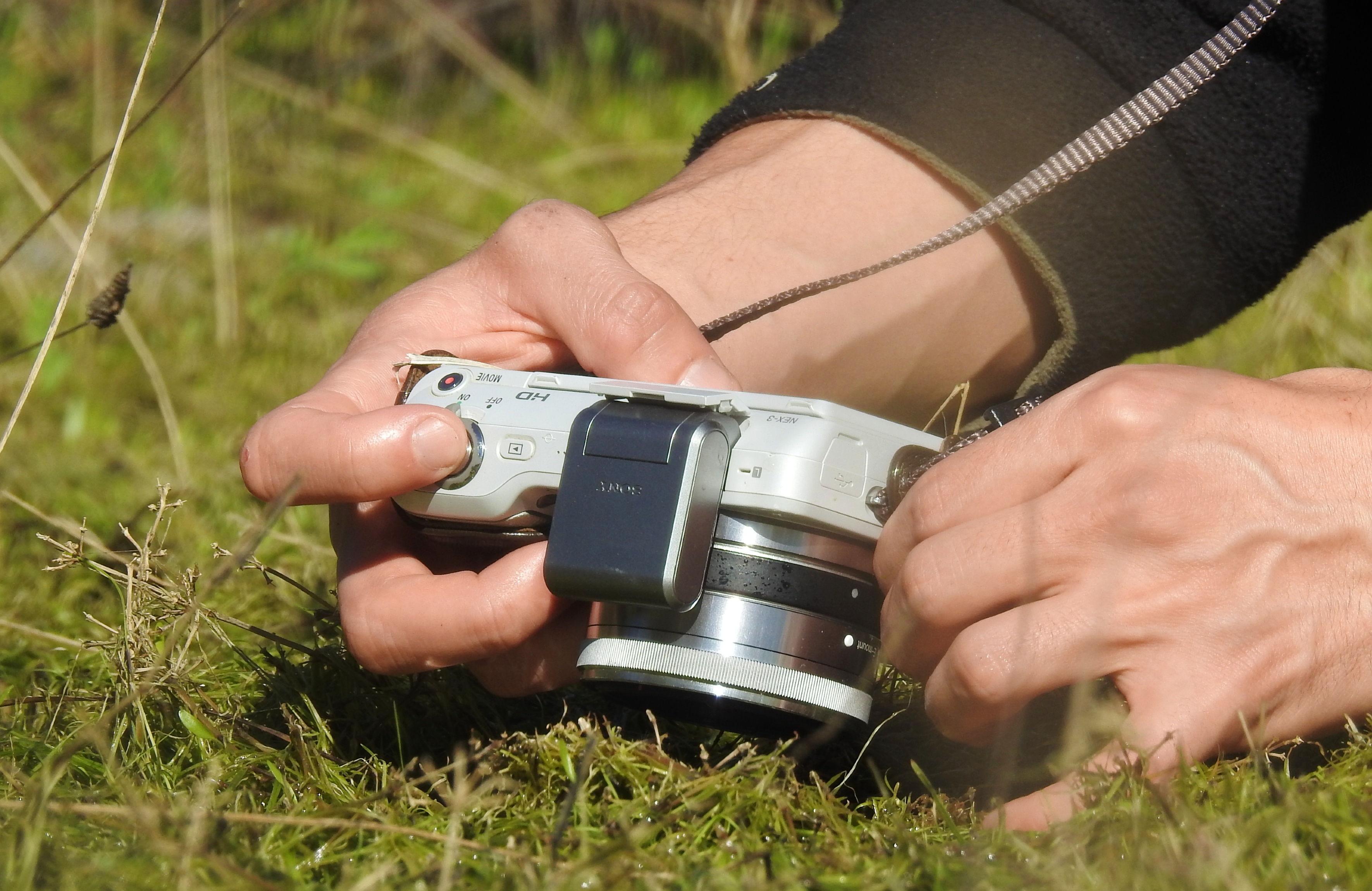 Adam opting for a really close photo of triops