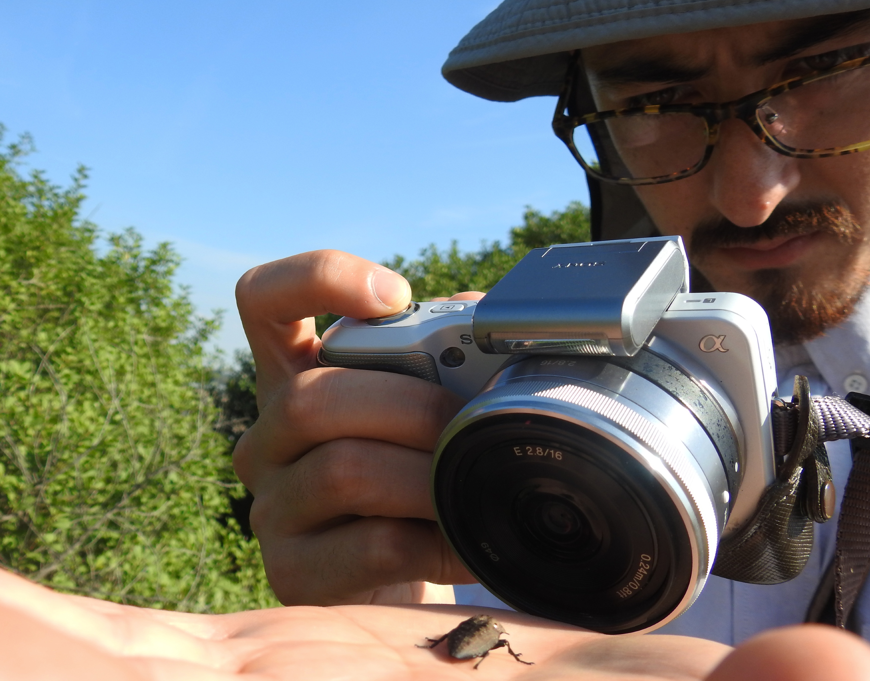Adam photographing the prized jewel beetle