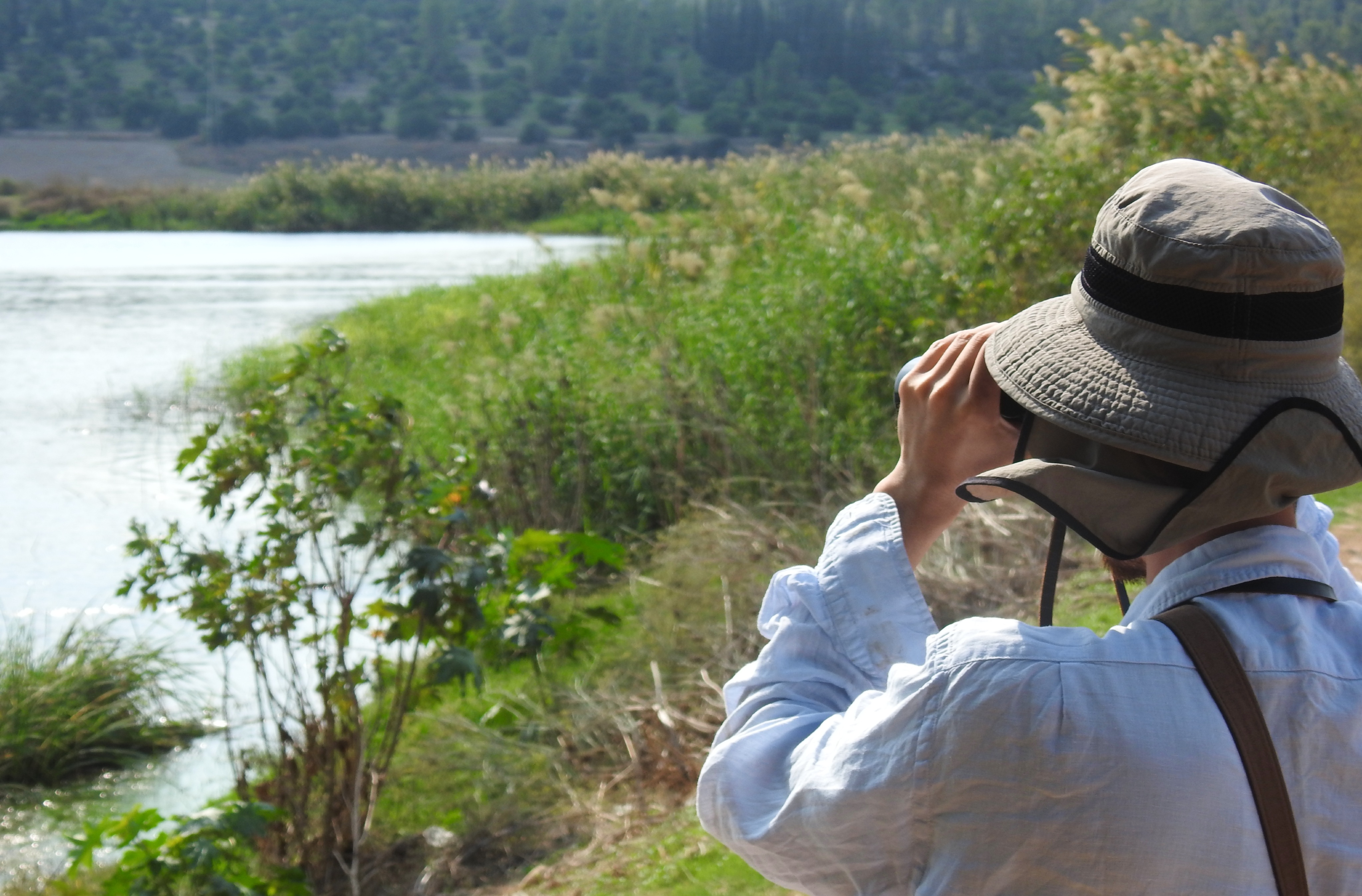 Adam searching for elusive bitterns