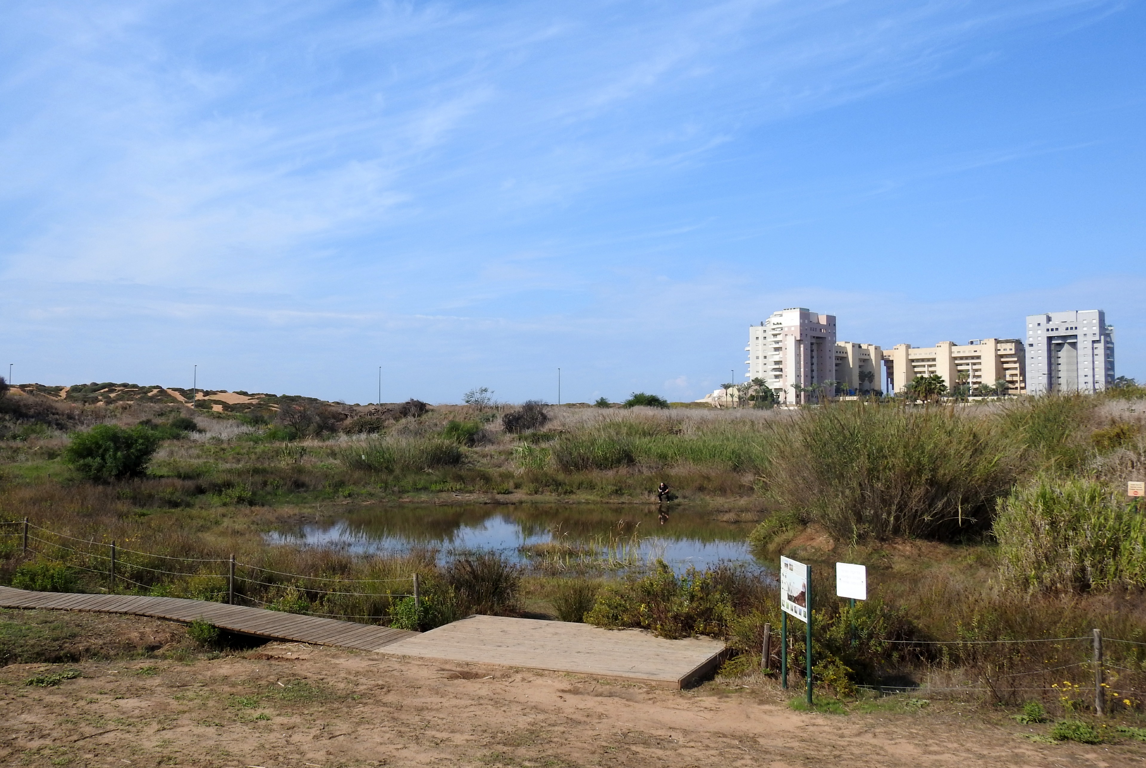 Levinsky College's vernal pool