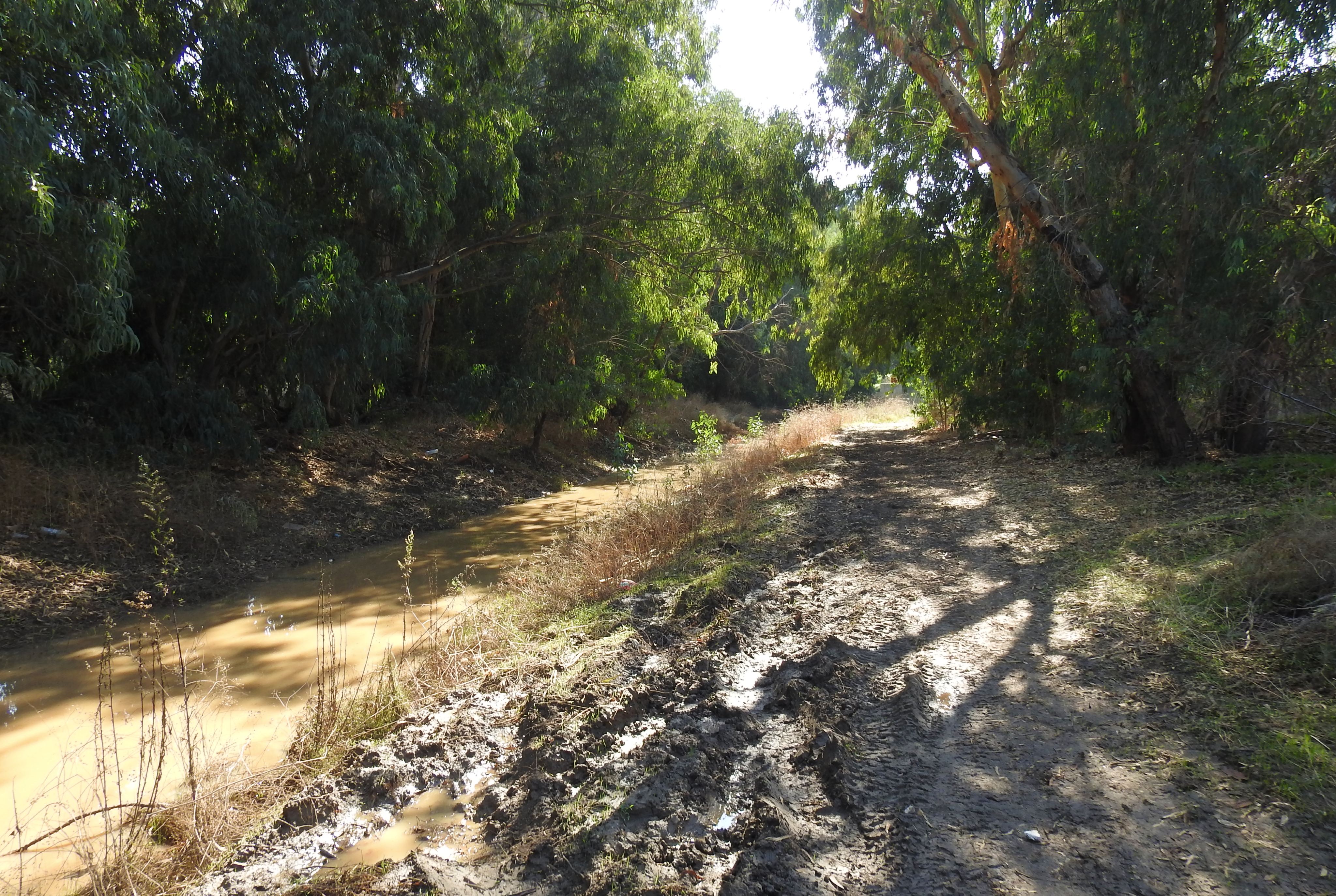 Muddy path along Nachal Achiya